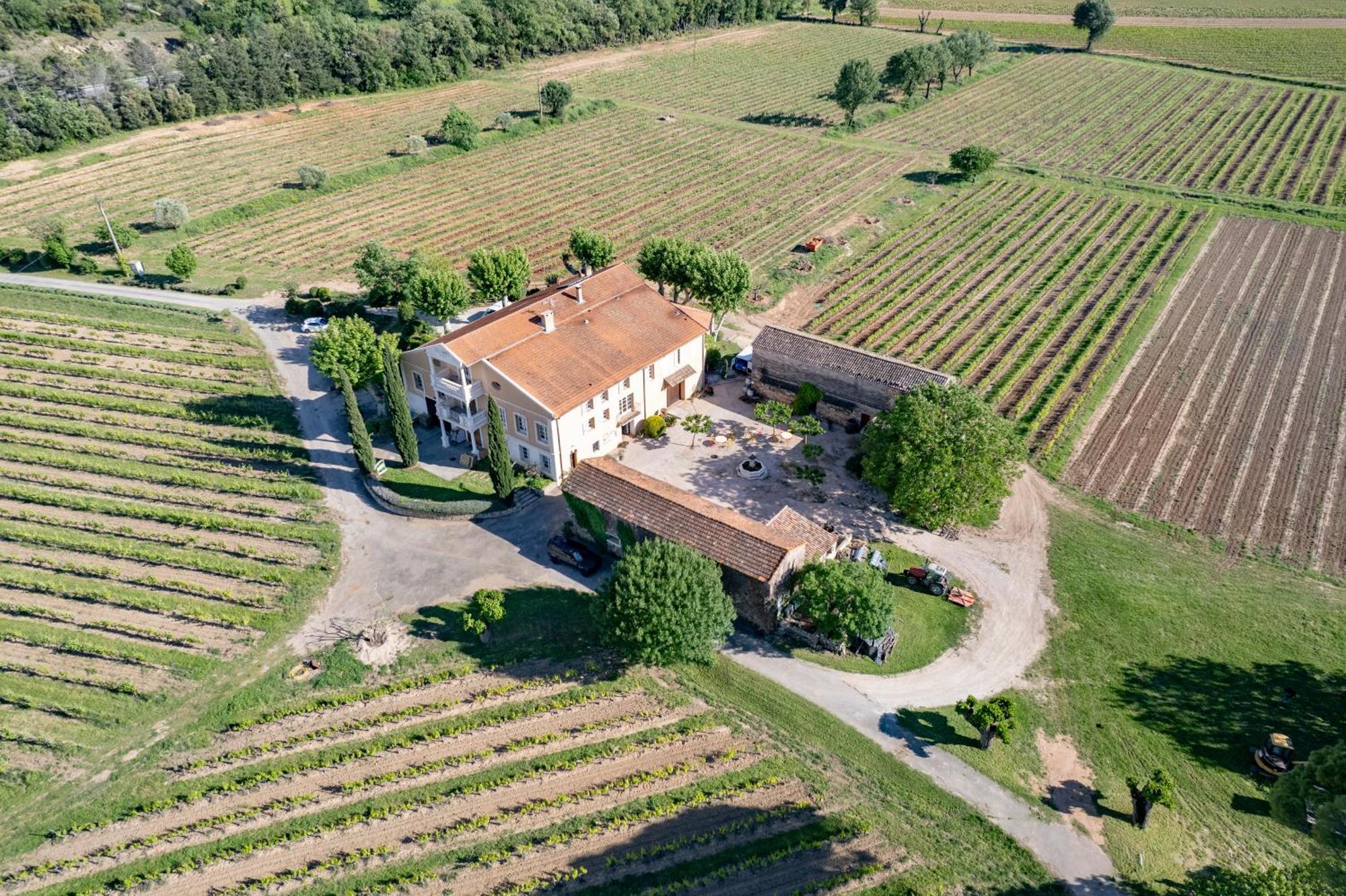 Gite Vert D'Olive Au Milieu Des Vignes - Chateau Les Apies Les Arcs-sur-Argens Екстер'єр фото