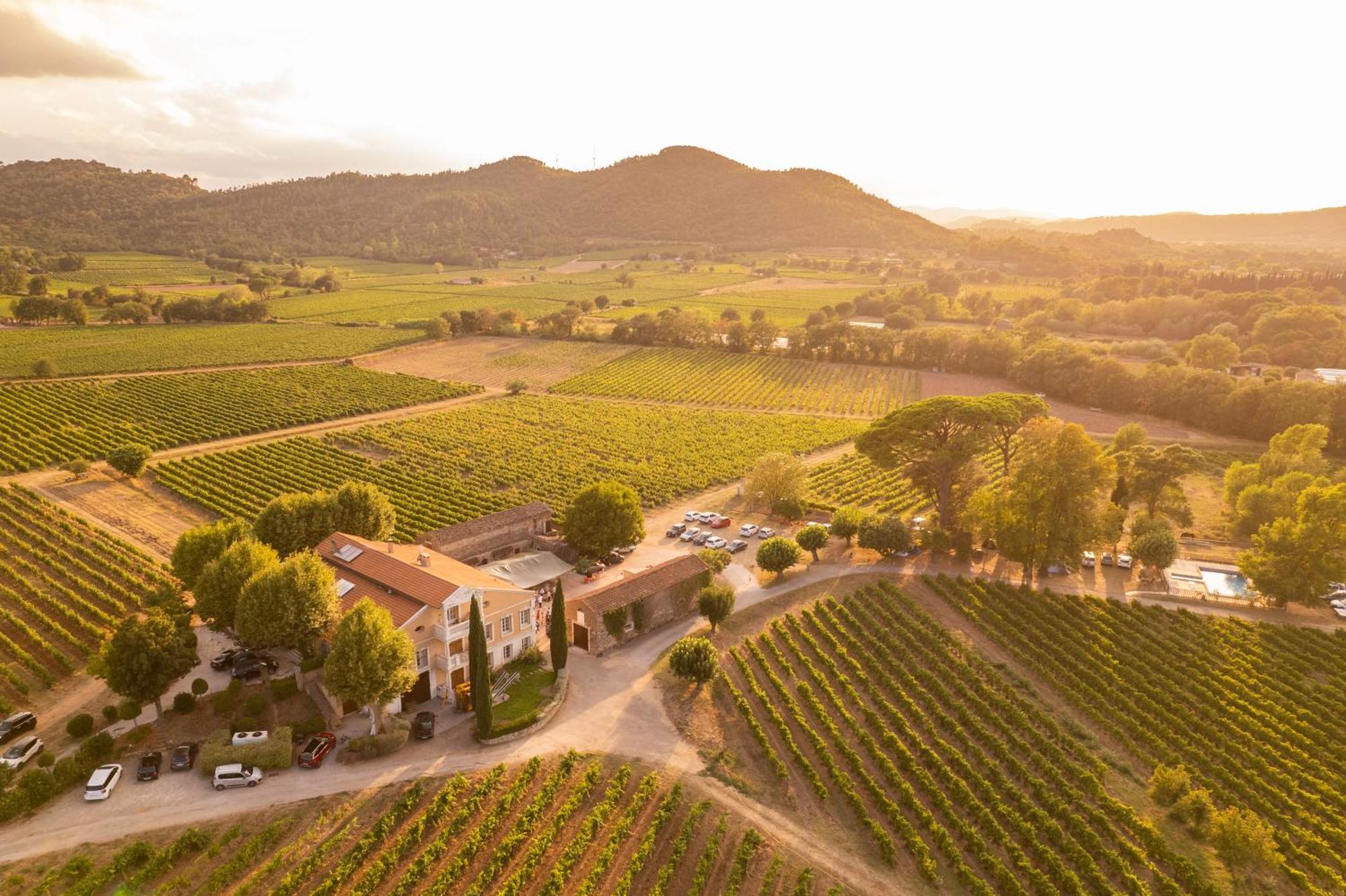 Gite Vert D'Olive Au Milieu Des Vignes - Chateau Les Apies Les Arcs-sur-Argens Екстер'єр фото